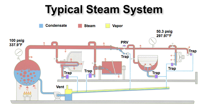 Campbell-Sevey Typical Steam System 