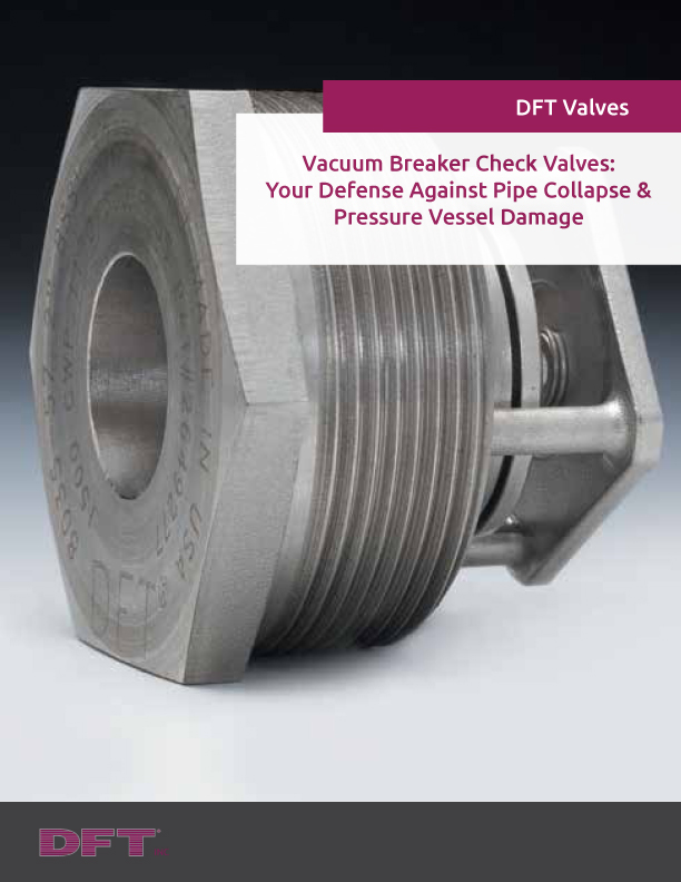 Vacuum Breaker Check Valves 