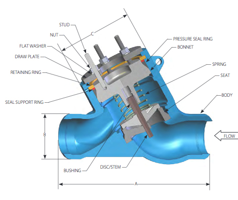 DFT Y Caliber Check Valve 